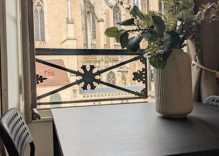 Διαμέρισμα L'observatoire De La Cathedrale Ντιζόν