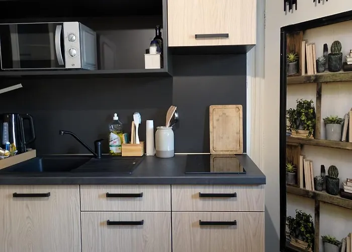 L'observatoire De La Cathedrale Διαμέρισμα Ντιζόν